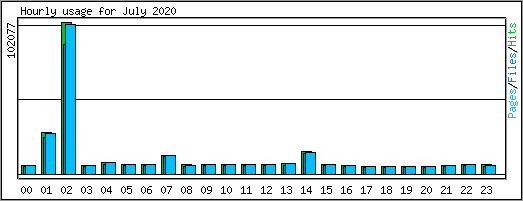 Hourly usage