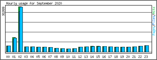 Hourly usage