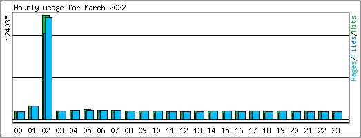 Hourly usage