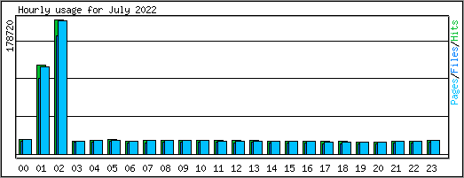 Hourly usage