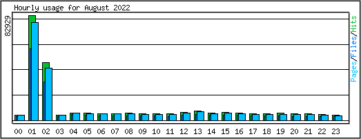 Hourly usage