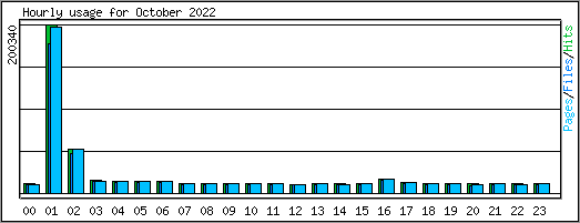 Hourly usage