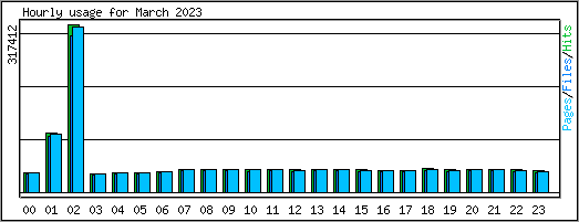 Hourly usage