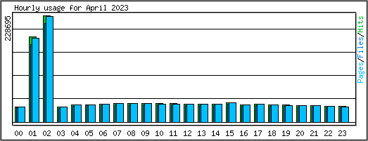 Hourly usage