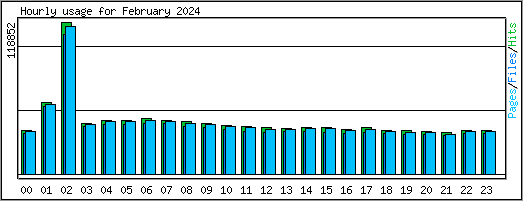 Hourly usage