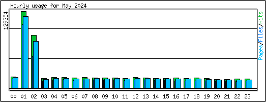 Hourly usage