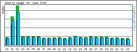 Hourly usage