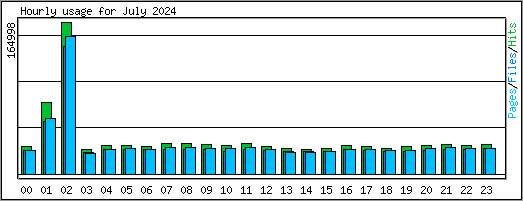 Hourly usage