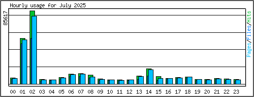 Hourly usage