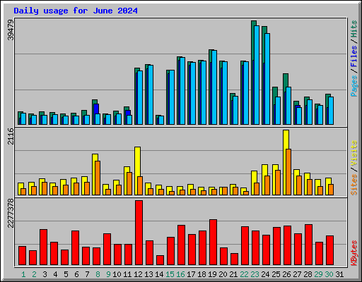 Daily usage for June 2024