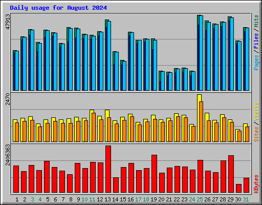 Daily usage for August 2024