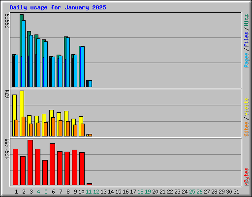 Daily usage for January 2025