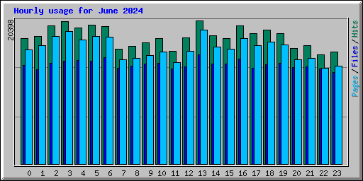 Hourly usage for June 2024