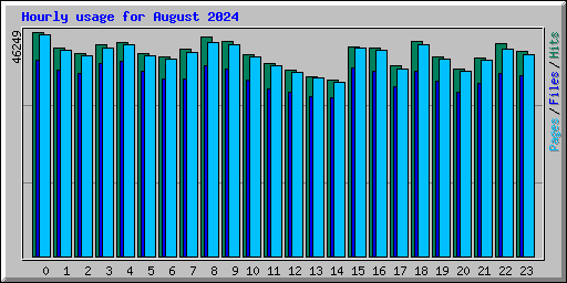 Hourly usage for August 2024