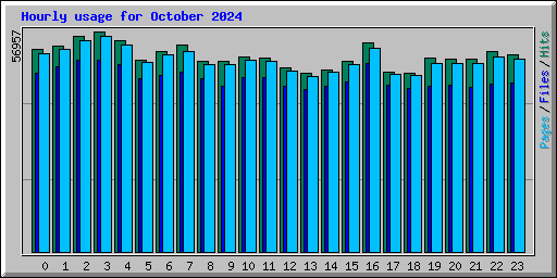 Hourly usage for October 2024