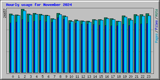 Hourly usage for November 2024