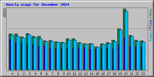 Hourly usage for December 2024