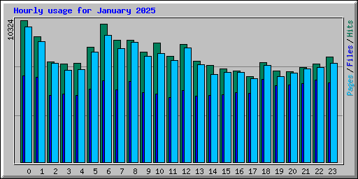 Hourly usage for January 2025