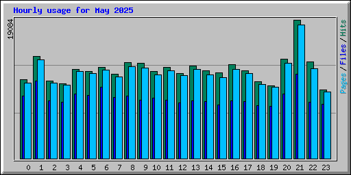 Hourly usage for May 2025