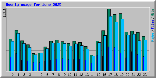 Hourly usage for June 2025